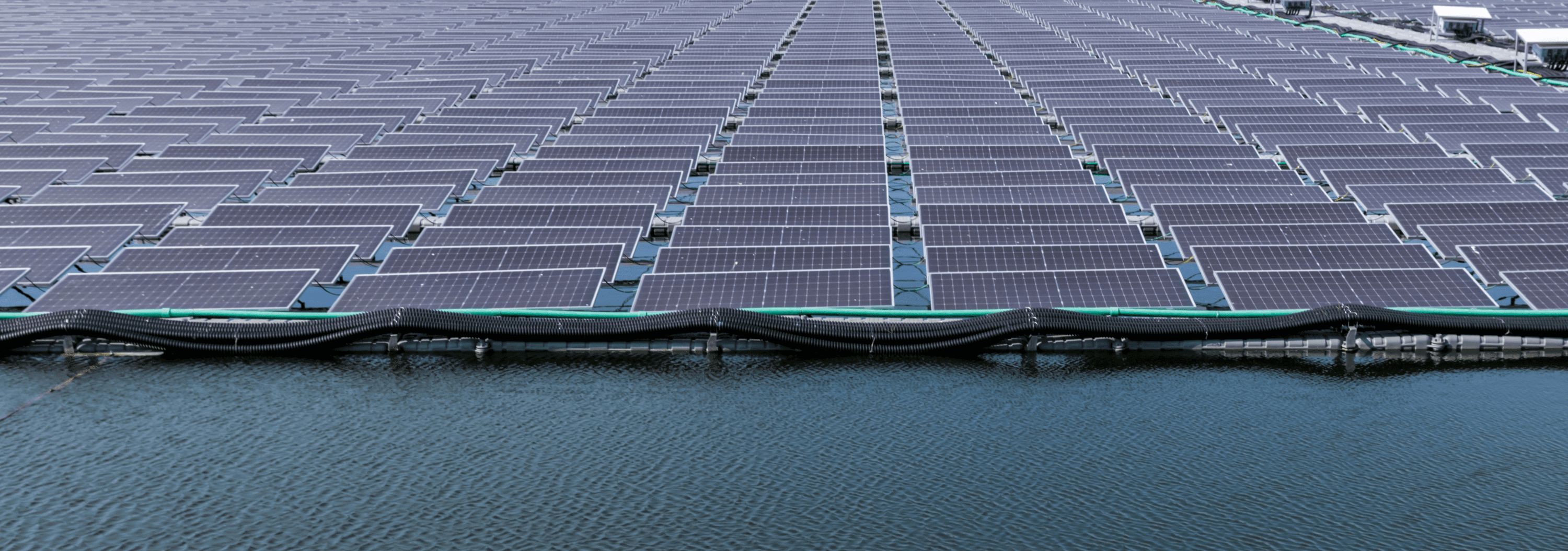 découvrez comment les hangars photovoltaïques peuvent promouvoir la biodiversité tout en produisant de l'énergie renouvelable. explorez des solutions innovantes pour allier agriculture, conservation et énergie durable.