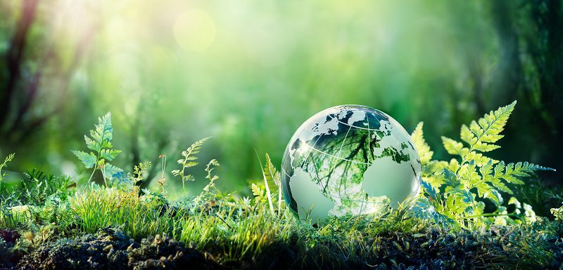 découvrez l'importance de la biodiversité pour notre planète, son impact sur les écosystèmes et la nécessité de la préserver. explorez les enjeux, les menaces et les solutions pour protéger notre patrimoine naturel.