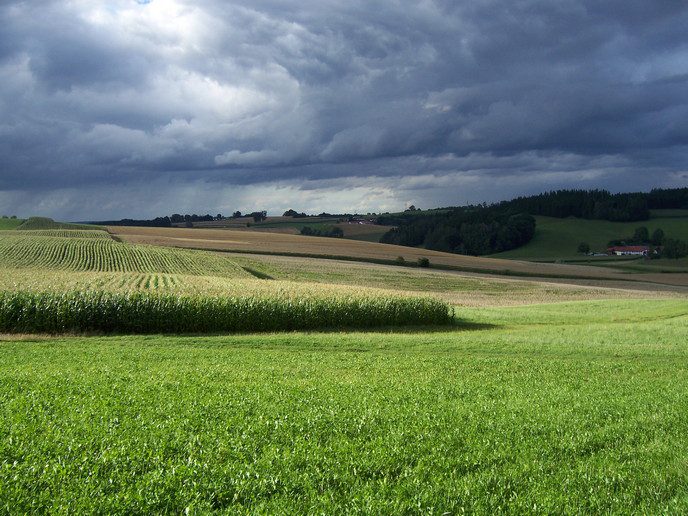 découvrez les enjeux et les avantages de la bioénergie durable, une solution innovante et respectueuse de l'environnement. apprenez comment cette ressource renouvelable peut contribuer à une transition énergétique verte et à la réduction des émissions de carbone.
