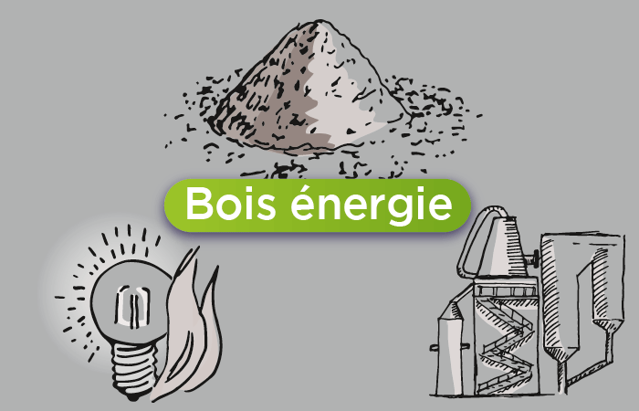 découvrez les principes de la bioénergie durable, une solution innovante et respectueuse de l'environnement qui utilise des ressources renouvelables pour produire de l'énergie. apprenez comment cette approche contribue à la transition énergétique et à la préservation de notre planète.