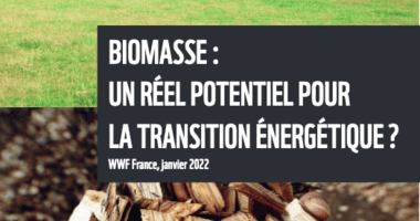 découvrez le potentiel de la biomasse en france, une source d'énergie renouvelable incontournable. apprenez comment la biomasse contribue à la transition énergétique, réduit les émissions de carbone et favorise le développement durable à travers des pratiques innovantes et responsables.