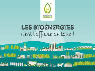 découvrez le potentiel de la biomasse en france, une source d'énergie renouvelable incontournable pour la transition écologique. explorez les avantages, les technologies innovantes et les projets en cours qui visent à valoriser cette ressource naturelle.