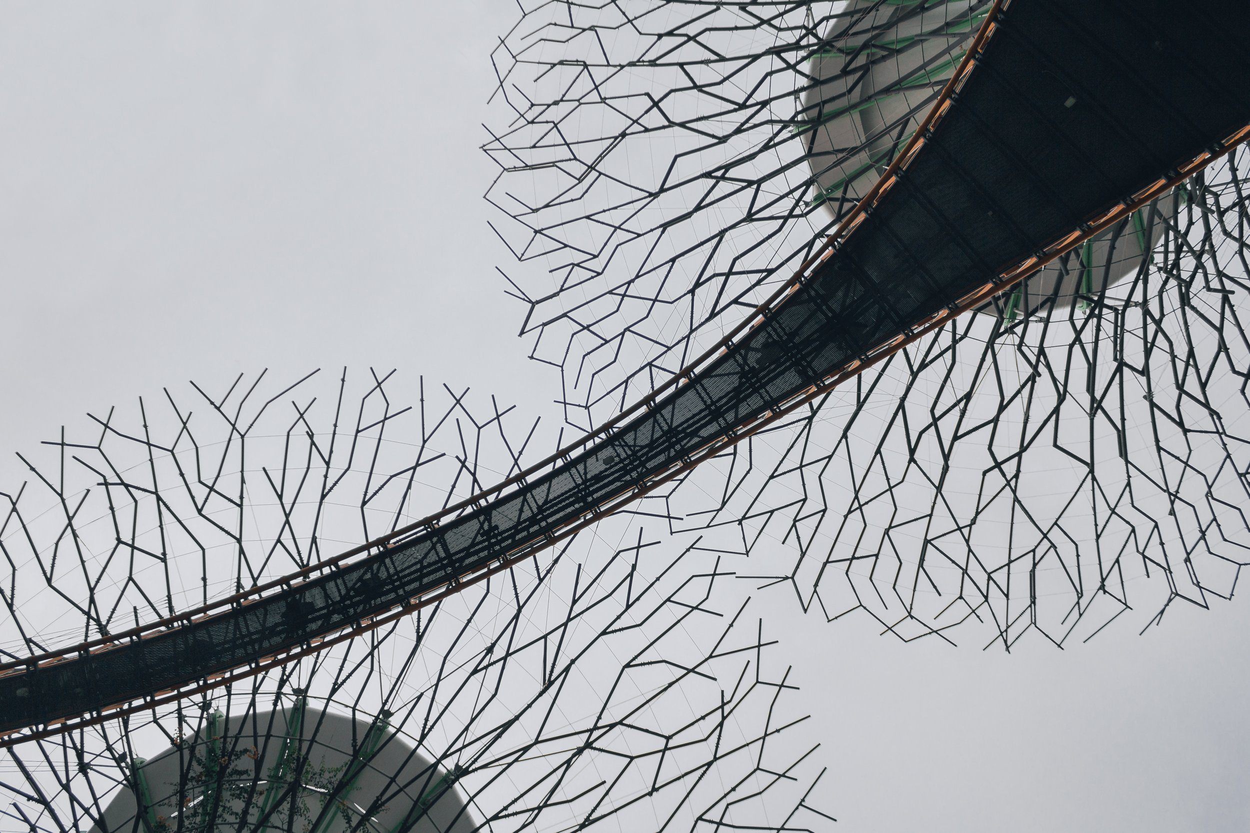 découvrez comment la biomimétique inspire des solutions durables pour l'économie circulaire, alliant innovation et respect de l'environnement. explorez les synergies entre nature et industrie pour bâtir un futur éco-responsable.