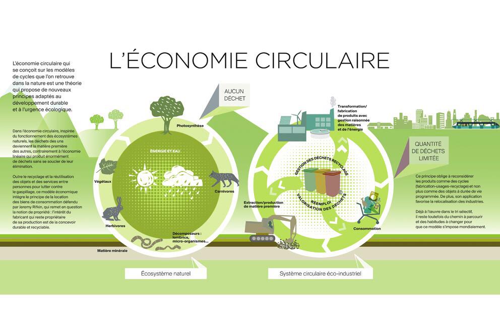 découvrez comment la biomimétique inspire des solutions innovantes pour l'économie circulaire. explorez des approches durables qui imitent la nature pour réduire le gaspillage et optimiser les ressources, tout en créant un avenir plus respectueux de l'environnement.