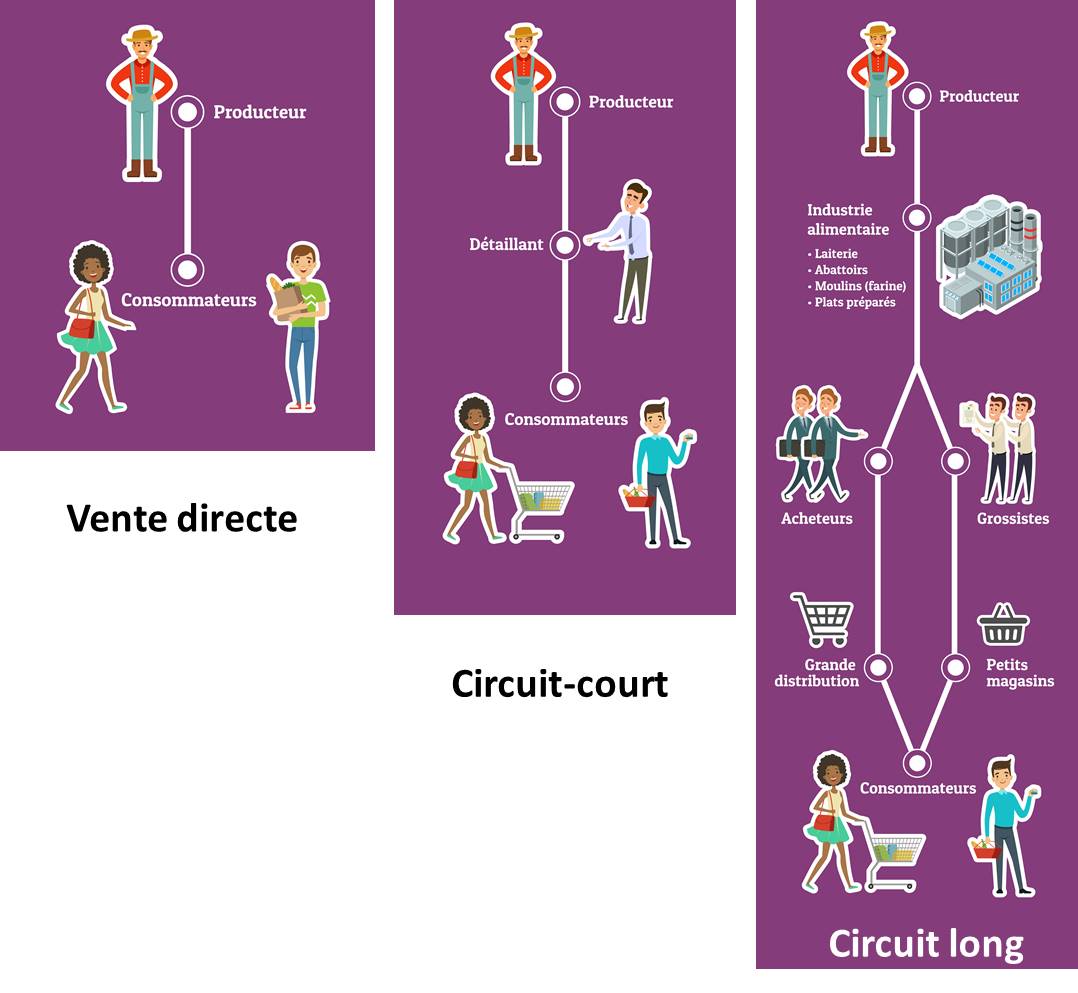 découvrez les meilleurs circuits agricoles pour soutenir l'agriculture locale. explorez nos conseils sur le choix de produits frais et de saison, tout en favorisant les producteurs de votre région.