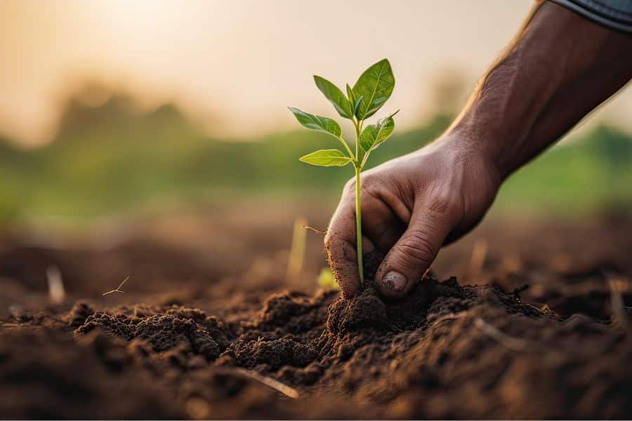 découvrez l'importance des circuits courts pour favoriser une agriculture durable. apprenez comment ces pratiques soutiennent l'économie locale, préservent l'environnement et offrent des aliments de qualité. joignez-vous à la révolution verte pour un avenir alimentaire responsable !