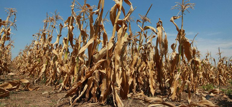 découvrez comment le changement climatique influence l'agriculture, les défis rencontrés par les agriculteurs et les solutions durables pour s'adapter aux nouvelles conditions environnementales. explorez le lien essentiel entre climat et production alimentaire.