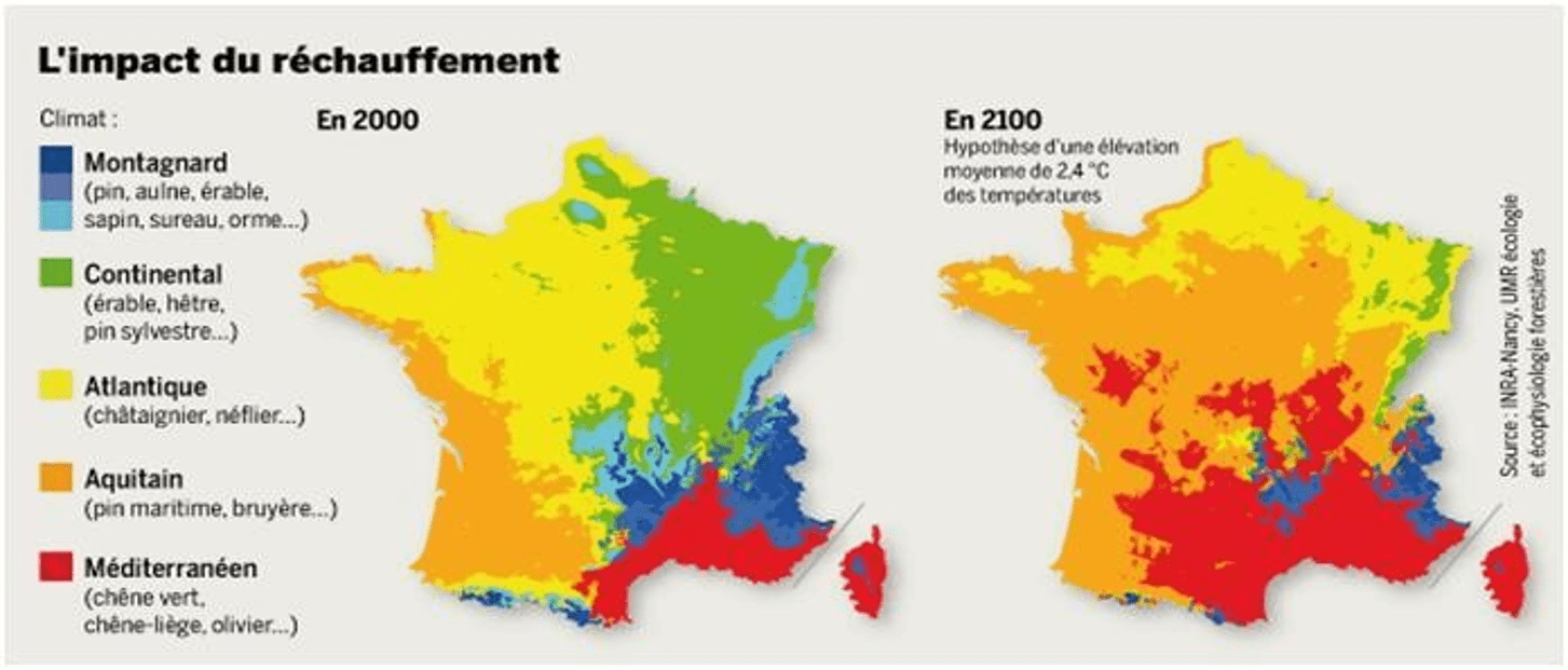 découvrez l'impact du changement climatique sur l'agriculture, les défis auxquels les agriculteurs sont confrontés et les solutions durables pour une production alimentaire résiliente. explorez comment s'adapter aux nouvelles conditions climatiques pour préserver la sécurité alimentaire.