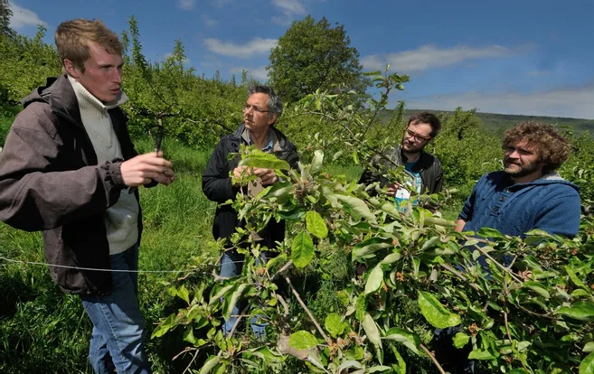 découvrez comment les communautés s'engagent dans des pratiques d'agriculture écologique pour promouvoir la durabilité, la biodiversité et la sécurité alimentaire. explorez les initiatives locales qui allient préservation de l'environnement et développement communautaire.