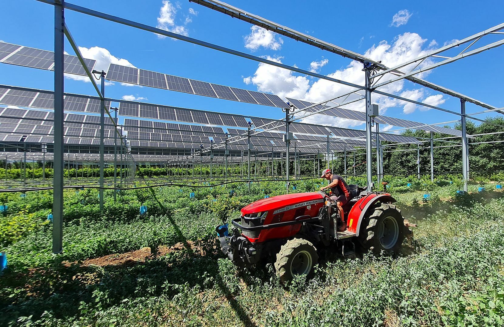 découvrez notre comparatif agrisolaire, une analyse approfondie des solutions agrisupportées qui optimisent la production agricole tout en intégrant des installations solaires. comparez les technologies, les avantages et les performances pour faire un choix éclairé pour votre exploitation.