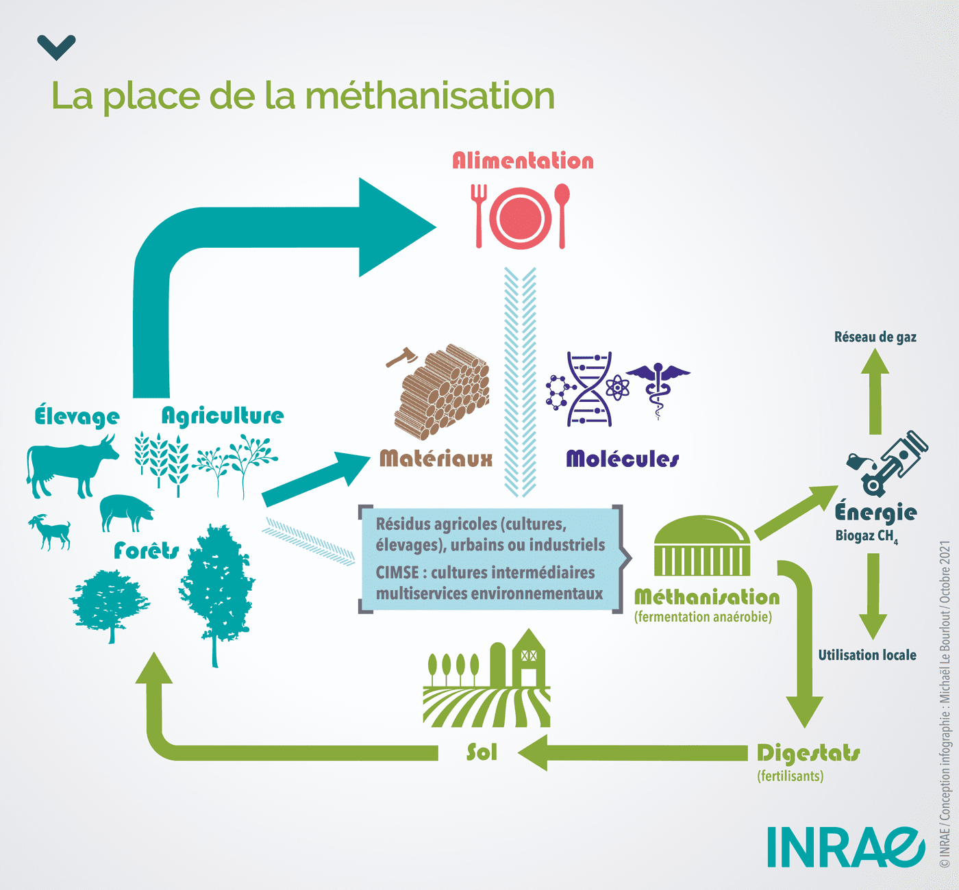 découvrez notre comparatif exhaustif sur la bioénergie, analysant les différentes sources, avantages et inconvénients. informez-vous pour faire des choix éclairés en matière d'énergie renouvelable et durable.