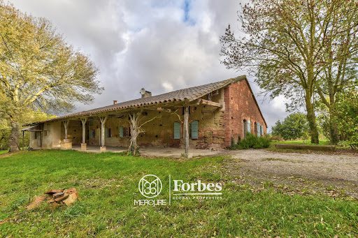 découvrez notre comparatif des fermes françaises : explorez les meilleures cultures, les pratiques agricoles innovantes et les produits locaux pour faire le bon choix et soutenir l'agriculture durable.