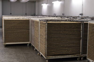 découvrez notre comparatif des hangars biologiques : analyse des caractéristiques, avantages et inconvénients pour choisir la solution idéale pour vos besoins en stockage durable.