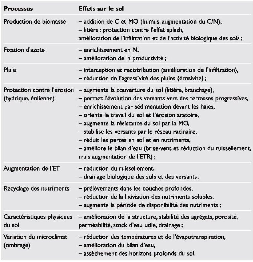 découvrez notre comparatif complet des hangars biologiques : performances, matériaux, coûts et avantages. informez-vous pour choisir la meilleure option adaptée à vos besoins environnementaux et agricoles.