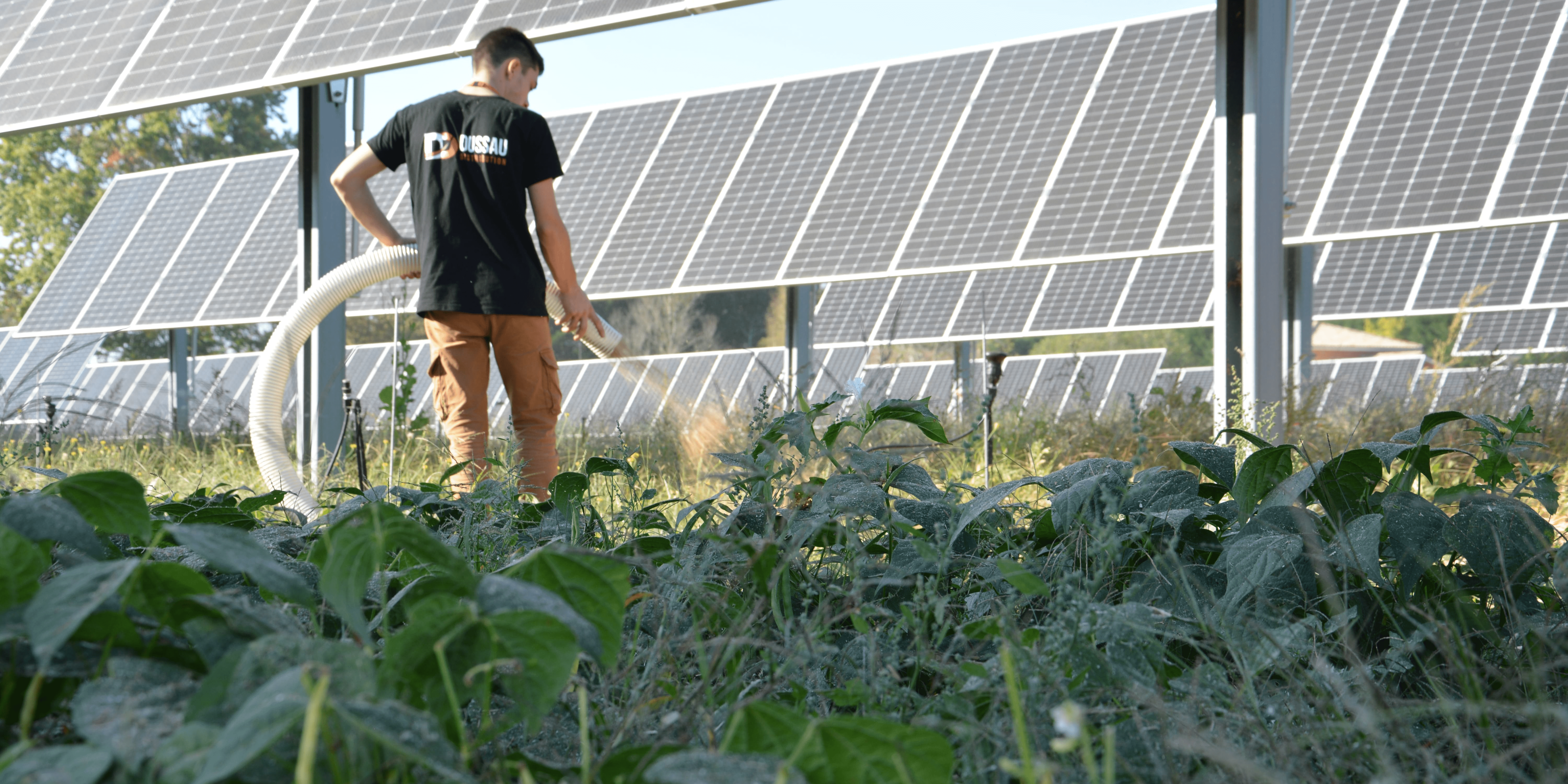 découvrez notre comparatif détaillé des solutions photovoltaïques agricoles. explorez les avantages, les coûts et les performances des différentes options disponibles pour maximiser l'efficacité énergétique de vos exploitations agricoles.