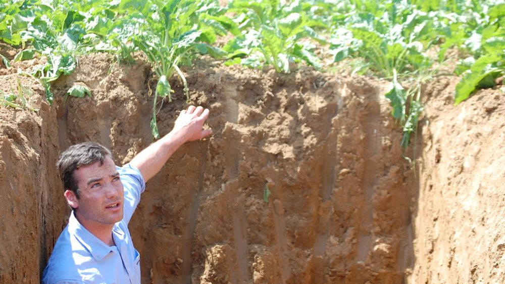 découvrez l'importance de la conservation des sols en agriculture pour préserver la santé des écosystèmes, améliorer la productivité des cultures et lutter contre l'érosion. apprenez des techniques durables qui favorisent la fertilité du sol et soutiennent une agriculture responsable.