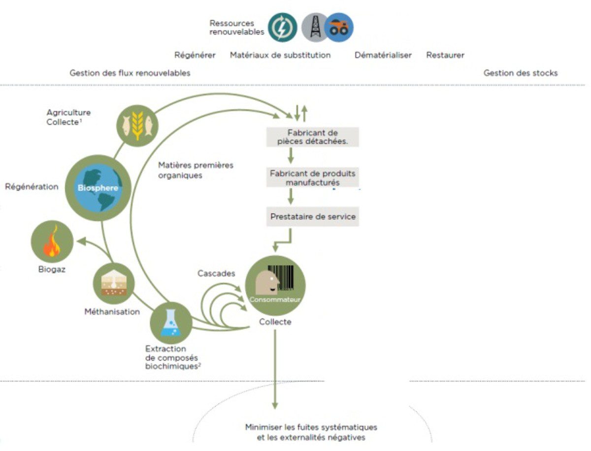 découvrez comment les consommateurs jouent un rôle clé dans l'économie circulaire, en adoptant des comportements durables et en soutenant les pratiques d'achat responsables. apprenez à réduire les déchets et à maximiser la réutilisation des ressources pour un avenir plus vert.