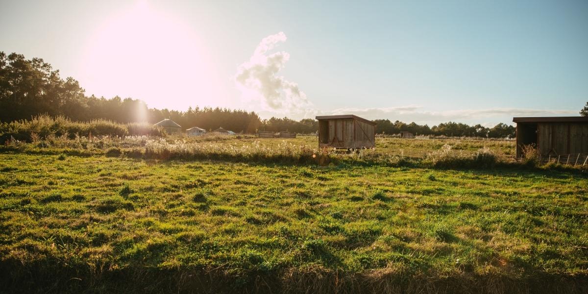découvrez nos services de construction adaptés aux terrains agricoles, alliant expertise et respect de l'environnement pour optimiser votre exploitation.
