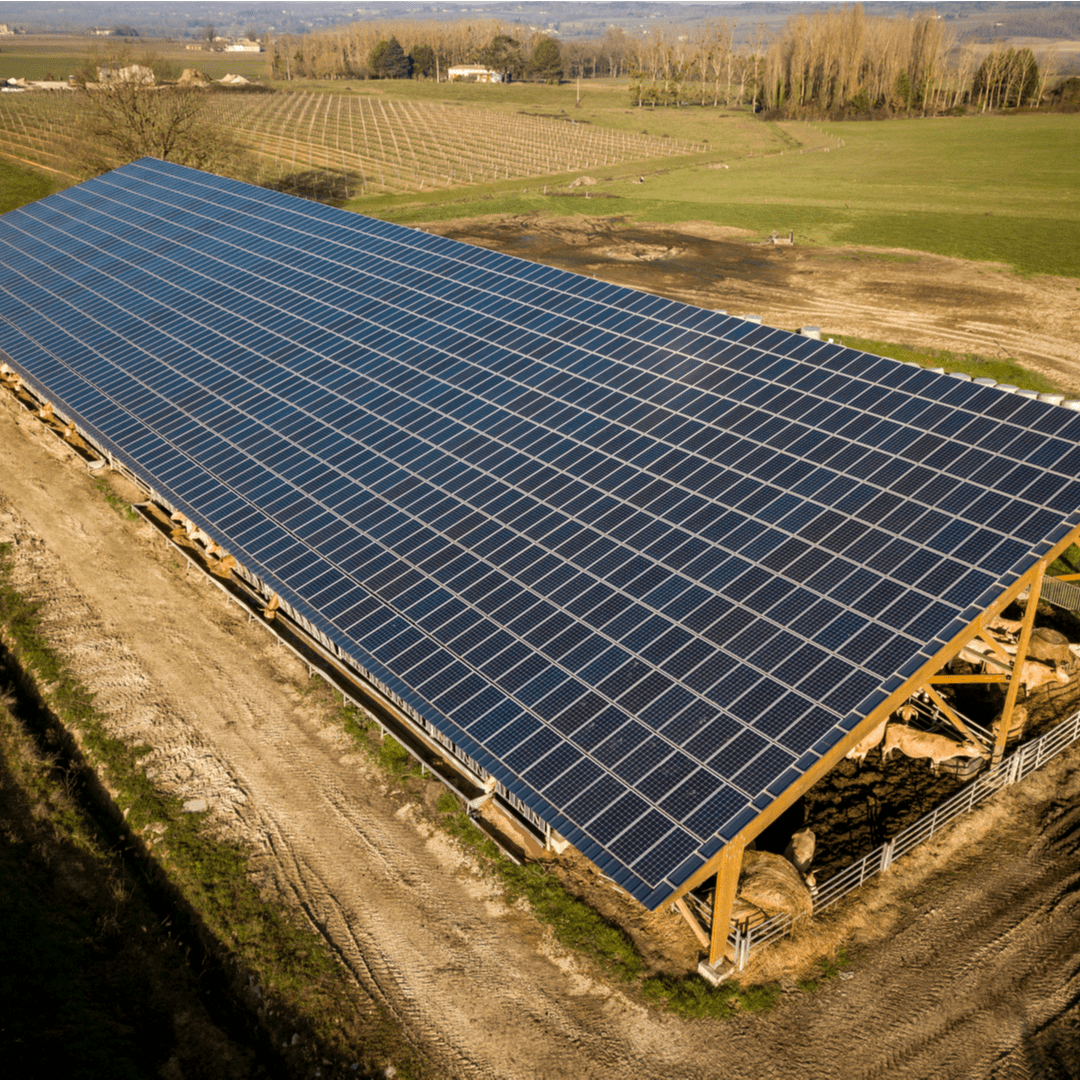 découvrez tout ce qu'il faut savoir sur la construction sur terrain agricole, y compris les réglementations, les bonnes pratiques et les opportunités d'aménagement pour optimiser votre espace tout en respectant la biodiversité.