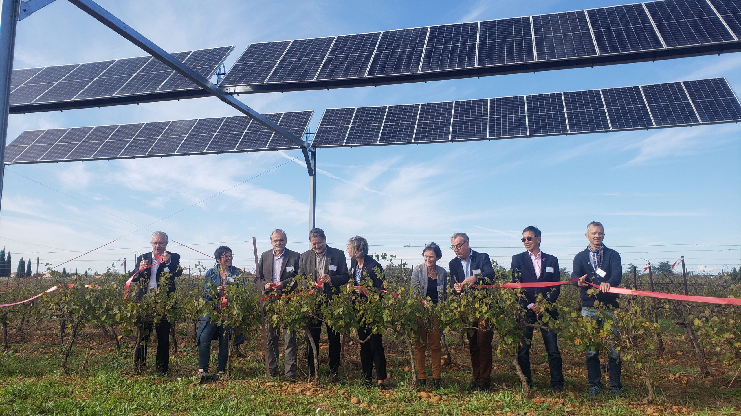 découvrez comment les coopératives agricoles intègrent des solutions photovoltaïques innovantes pour une agriculture durable et une production d'énergie renouvelable. explorez les synergies entre l'agriculture et l'énergie solaire pour un avenir plus vert.