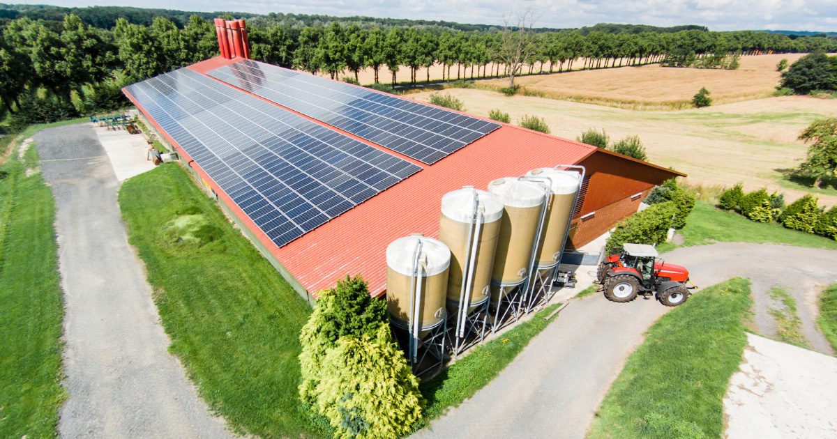 découvrez comment les coopératives agricoles intègrent le photovoltaïque pour optimiser leur production tout en favorisant une agriculture durable. explorez les avantages écologiques et économiques de cette synergie innovante.