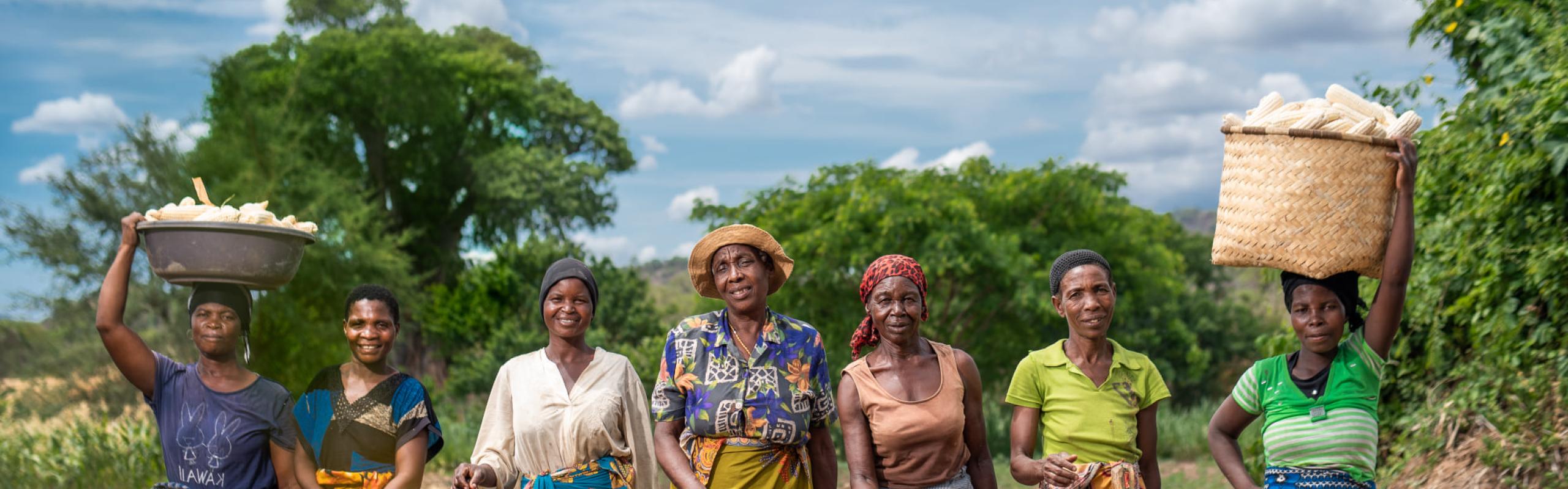 découvrez comment les coopératives d'agriculture durable transforment l'agriculture en alliant pratiques écologiques et solidarité. apprenez les avantages de ces organisations pour les producteurs, l'environnement et les consommateurs.