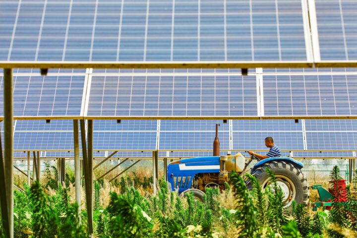 découvrez les cueilleuses solaires, des dispositifs innovants qui utilisent l'énergie solaire pour le ramassage des cultures. optimisez votre récolte tout en réduisant votre empreinte carbone avec cette technologie durable et efficace.