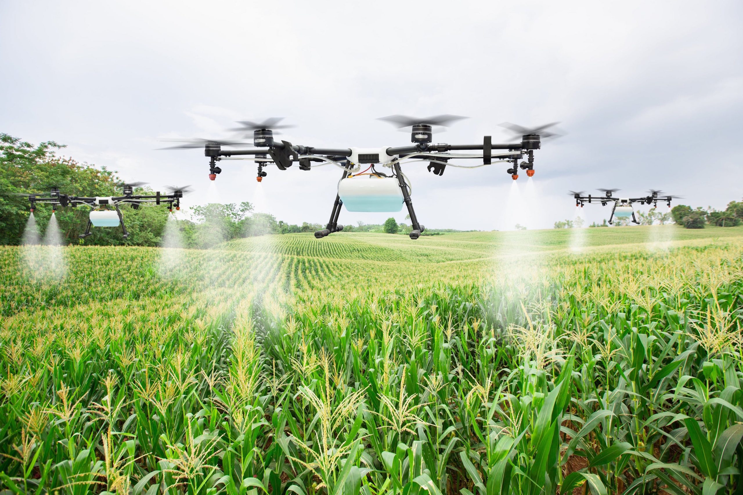 découvrez les défis majeurs de l'agriculture de précision, une approche innovante qui utilise la technologie pour optimiser la production agricole. apprenez comment surmonter les obstacles liés aux données, à la durabilité et à l'adoption de nouvelles technologies pour améliorer l'efficacité des exploitations agricoles.