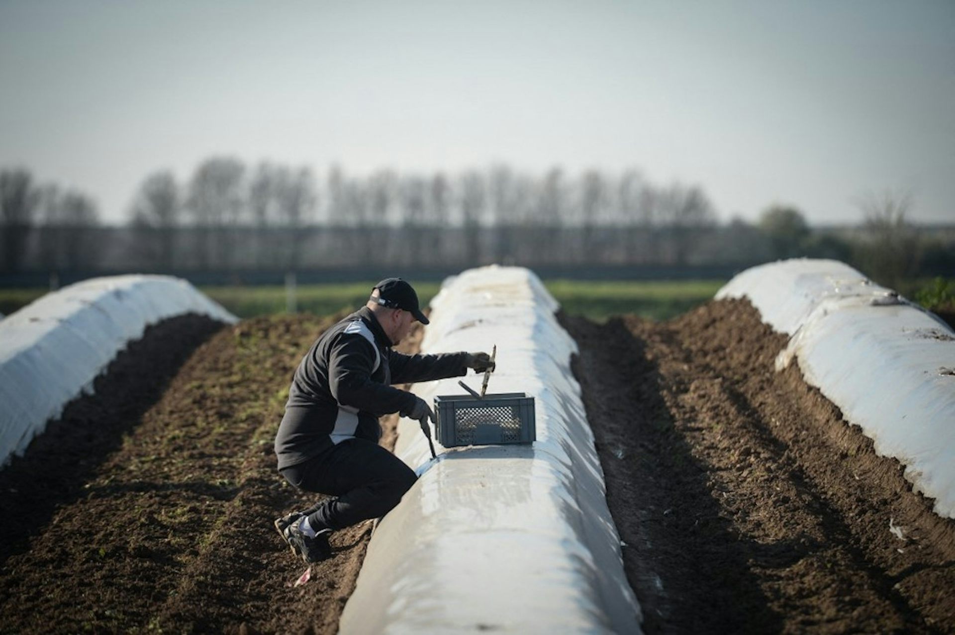 découvrez les enjeux et défis de l'agriculture de précision, une technologie innovante qui transforme les pratiques agricoles. explorez comment l'optimisation des ressources et l'analyse des données permettent d'améliorer la production tout en préservant l'environnement.