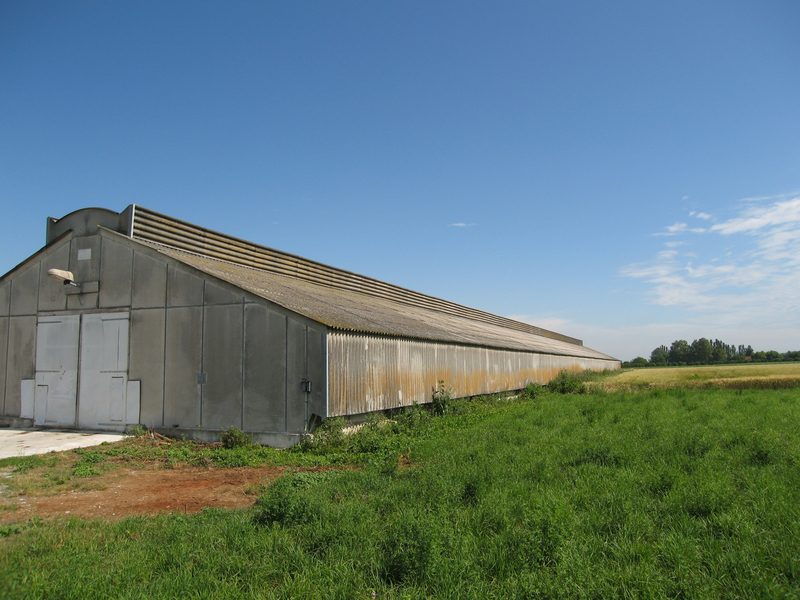 découvrez nos services professionnels de désamiantage pour bâtiments agricoles, garantissant la sécurité et la conformité des structures tout en préservant l'environnement. optez pour une solution fiable et efficace pour protéger vos espaces de travail.
