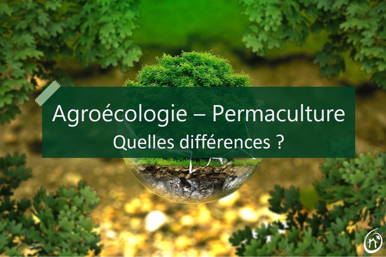 découvrez les différences clés de l'agroécologie : une approche durable et respectueuse de l'environnement qui vise à harmoniser production agricole et préservation des ressources naturelles. apprenez comment cette méthode contribue à une agriculture plus résiliente et bénéfique pour la biodiversité.