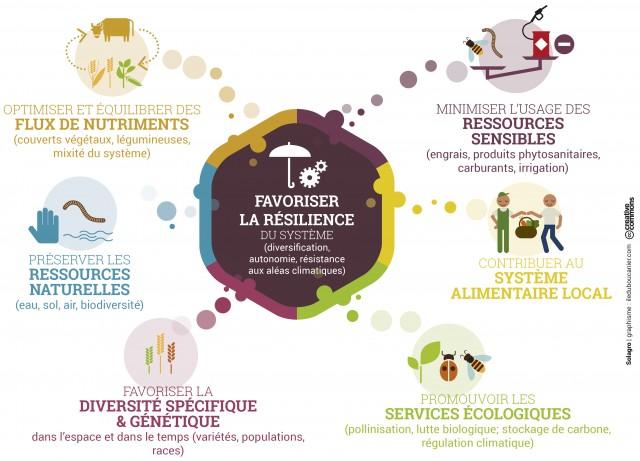 découvrez la différence agroécologie : une approche durable et respectueuse de l'environnement qui vise à harmoniser production alimentaire et conservation des écosystèmes. explorez les principes clés et les bénéfices de cette méthode innovante pour une agriculture responsable.