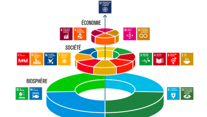 découvrez l'importance de la durabilité économique pour un avenir responsable. explorez des stratégies innovantes qui allient croissance, protection de l'environnement et bien-être social.