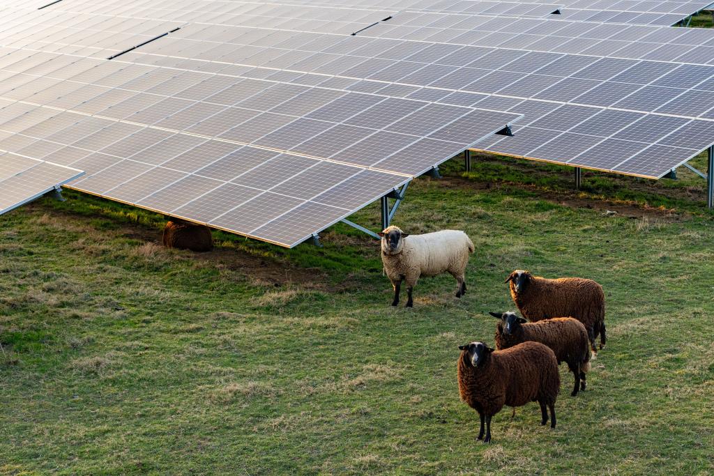 découvrez comment les projets photovoltaïques ruraux contribuent à la durabilité environnementale et économique. explorez les bénéfices de l'énergie solaire pour les communautés rurales, favorisant une transition énergétique responsable et une autonomie énergétique renforcée.