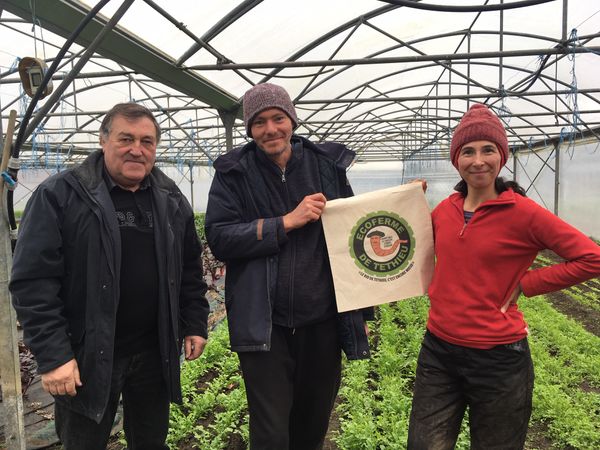 découvrez une ecoferme durable, un modèle d'agriculture respectueux de l'environnement qui allie production biologique et préservation des ressources naturelles. engagez-vous pour une alimentation saine et un avenir durable.