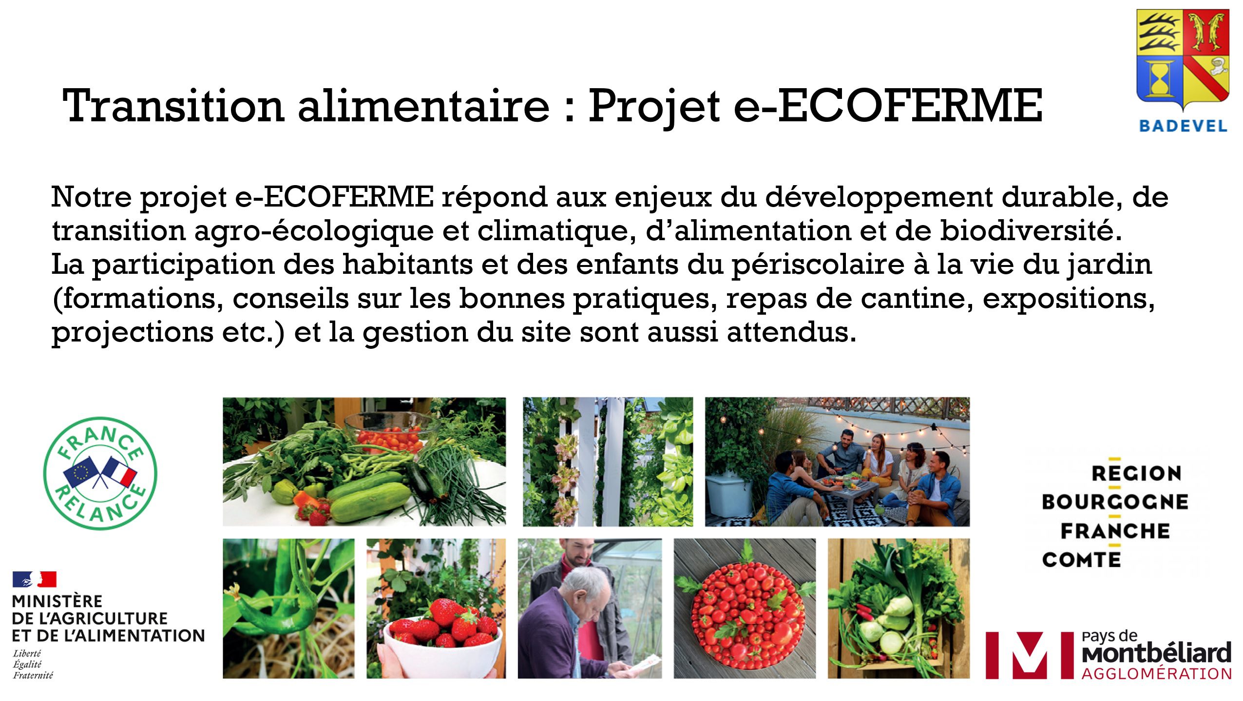 découvrez notre écoferme durable, un modèle d'agriculture respectueux de l'environnement, alliant innovation et traditions. rejoignez-nous pour apprendre des pratiques agricoles soutenables qui préservent la biodiversité et favorisent un mode de vie sain.