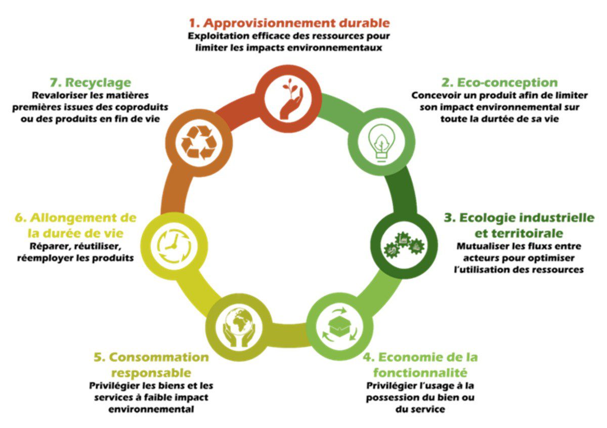 découvrez comment l'écologie et l'économie peuvent s'harmoniser pour créer un avenir durable. explorez des stratégies innovantes et des solutions pratiques pour allier préservation de l'environnement et croissance économique.