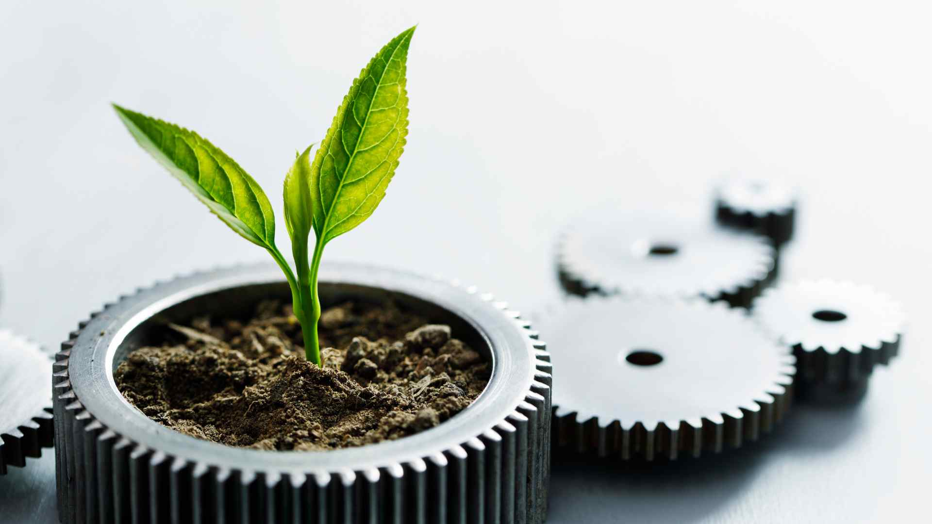 découvrez comment l'économie circulaire transforme notre manière de consommer et de produire, permettant une utilisation durable des ressources tout en réduisant les déchets. explorez des pratiques innovantes et des solutions écologiques qui favorisent un développement durable et responsable.