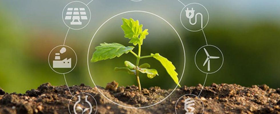 découvrez comment l'économie circulaire favorise la création d'emplois durables et contribue à la transition vers un modèle économique respectueux de l'environnement. explorez les opportunités professionnelles émergentes et les innovations qui transforment notre façon de produire et de consommer.