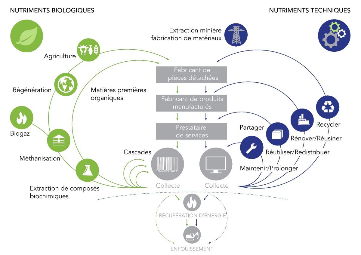 découvrez comment l'économie circulaire transforme le secteur du photovoltaïque en promouvant des pratiques durables et responsables. apprenez comment optimiser l'utilisation des ressources et réduire les déchets tout en bénéficiant de l'énergie solaire.