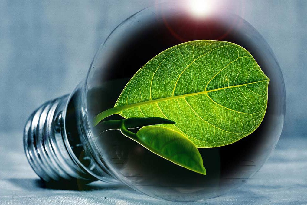 découvrez des solutions innovantes pour une économie d'énergie durable, alliant efficacité énergétique, technologies vertes et pratiques responsables pour un avenir plus respectueux de l'environnement.