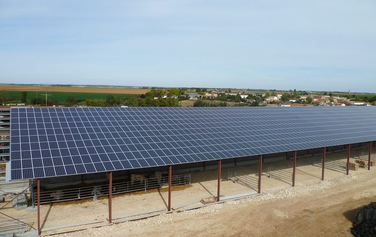 découvrez comment les hangars photovoltaïques transforment l'économie en offrant des solutions écoénergétiques rentables. optimisez vos ressources tout en réduisant votre empreinte carbone grâce à ces infrastructures innovantes.