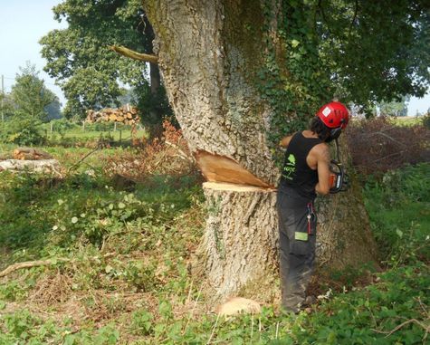 découvrez notre écoréfuge innovant pour le jardinage, conçu spécifiquement pour intégrer des panneaux solaires. alliez respect de l'environnement et optimisation de votre espace extérieur tout en bénéficiant d'une source d'énergie renouvelable. transformez votre jardin en un lieu durable et esthétique !