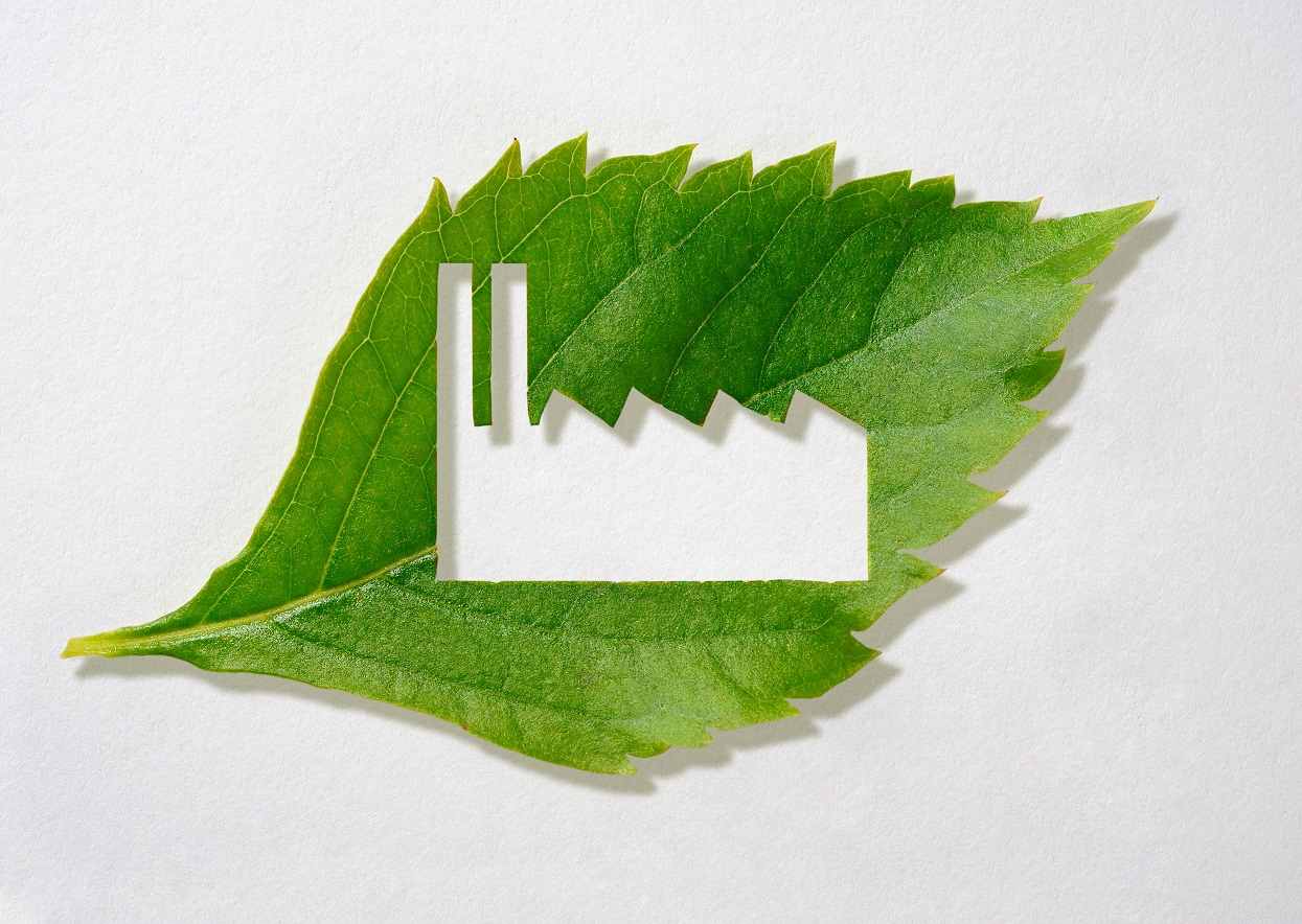 découvrez les avis et témoignages sur ecosol energie, une entreprise écoresponsable engagée pour un avenir durable. explorez ses initiatives écologiques et ses produits innovants qui contribuent à la protection de l'environnement.