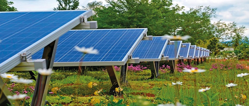 découvrez l'écosystème photovoltaïque, un système durable et innovant dédié à la production d'énergie solaire. explorez ses avantages, ses technologies et son impact environnemental, ainsi que les opportunités d'investissement et d'amélioration de votre efficacité énergétique.