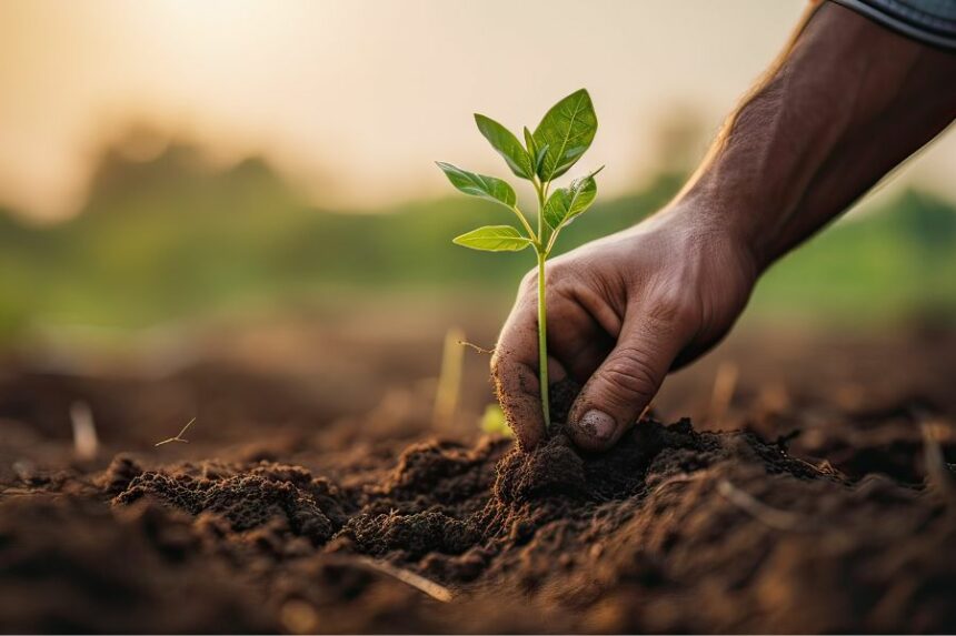 découvrez comment l'éducation à l'agriculture durable transforme nos pratiques agricoles pour un avenir écoresponsable. apprenez les méthodes respectueuses de l'environnement, favorisez la biodiversité et soutenez un développement durable grâce à des techniques innovantes et accessibles à tous.