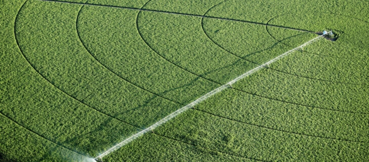 découvrez les clés de l'éducation à l'agriculture durable : apprenez des techniques respectueuses de l'environnement, favorisez la biodiversité et contribuez à un avenir alimentaire responsable grâce à des pratiques agricoles innovantes et durables.