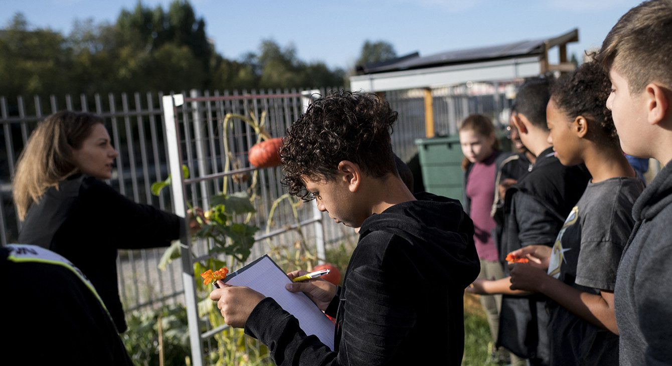 découvrez comment l'éducation joue un rôle clé dans la promotion de l'énergie durable. explorez des programmes innovants, des initiatives écologiques et des pratiques éducatives qui sensibilisent les générations futures à l'importance de sauvegarder notre planète.