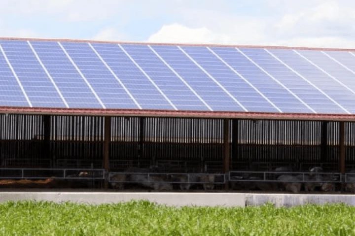 découvrez l'importance de l'emplacement pour l'installation de hangars photovoltaïques. optimisez la production d'énergie solaire en choisissant le meilleur site pour maximiser l'exposition au soleil et réduire les coûts énergétiques.