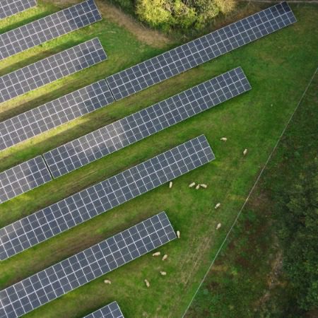 découvrez comment l'énergie agricole durable transforme le secteur agricole en favorisant des pratiques respectueuses de l'environnement, en améliorant l'efficacité énergétique et en soutenant une agriculture à faible impact écologique. apprenez les innovations et les méthodes qui garantissent un avenir vert pour nos terres et nos ressources.